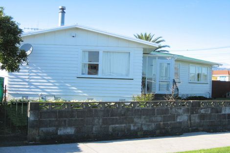 Photo of property in 2 Cobham Street, Levin, 5510