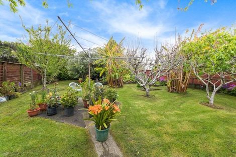 Photo of property in 113 Moore Street, Hillcrest, Auckland, 0627