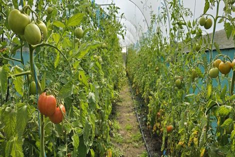 Photo of property in 87 Robertson Street, Upper Charlton, Gore, 9710