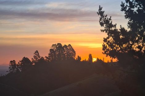 Photo of property in 633 Maungakawa Road, Te Miro, Cambridge, 3496