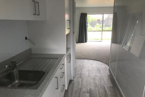 Photo of property in 21 Albert Street, Hamilton East, Hamilton, 3216