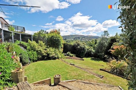 Photo of property in 21 Wray Street, Brockville, Dunedin, 9011