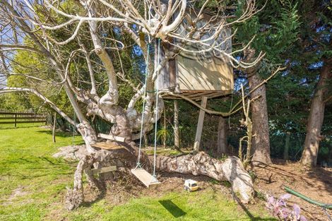 Photo of property in 7 Ngahuia Place, Tokanui, Te Awamutu, 3874