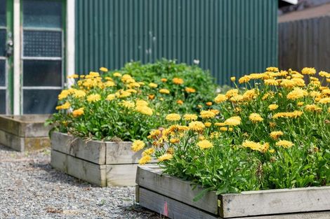 Photo of property in 10 Lampard Street, Methven, 7730