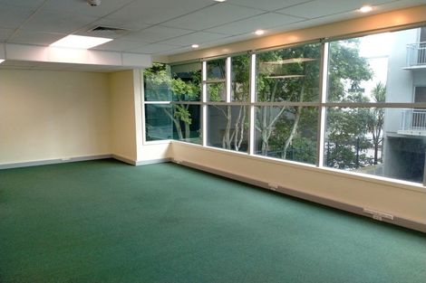 Photo of property in 8a Madeira Lane, Grafton, Auckland, 1023