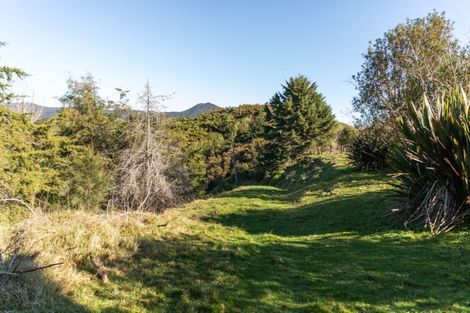 Photo of property in 116 Princes Street, Waikino, Waihi, 3682