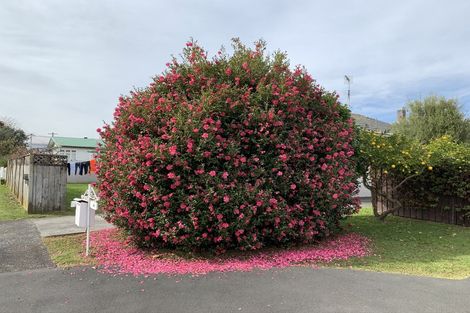 Photo of property in 30 Queen Street, Papakura, 2110