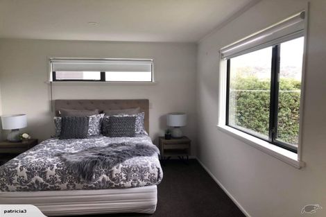 Photo of property in 46 Perriam Place, Mount Pisa, Cromwell, 9383