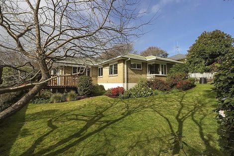 Photo of property in 10 Montana Drive, Pyes Pa, Tauranga, 3112