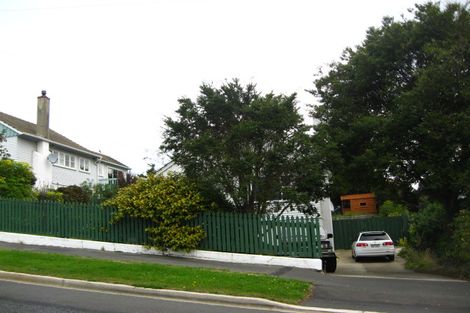 Photo of property in 51 Waimea Avenue, Calton Hill, Dunedin, 9012