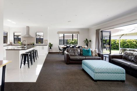 Photo of property in 22 Miranda Place, Flagstaff, Hamilton, 3210