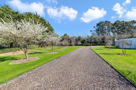 Photo of property in 6 Hallfield Drive, Ohoka, Kaiapoi, 7692