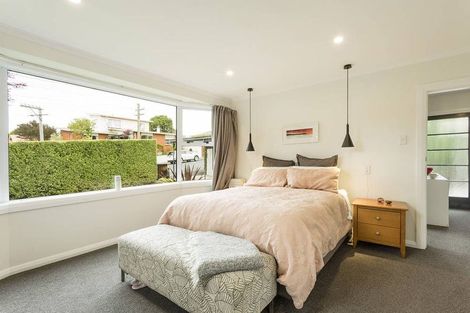 Photo of property in 116 Glenpark Avenue, Maryhill, Dunedin, 9011