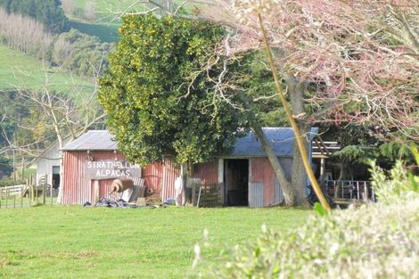 Photo of property in 84 Old Te Aroha Road, Te Poi, Matamata, 3473