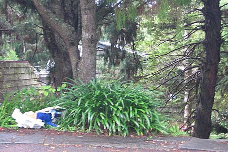 Photo of property in 208 Woodlands Park Road, Titirangi, Auckland, 0604