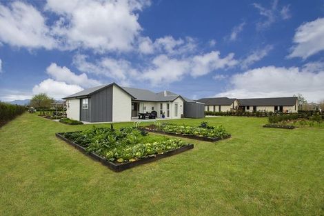 Photo of property in 7 Chestnut Lane, Matamata, 3400