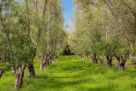 Photo of property in 179 Bidwills Cutting Road, Morison Bush, Greytown, 5794