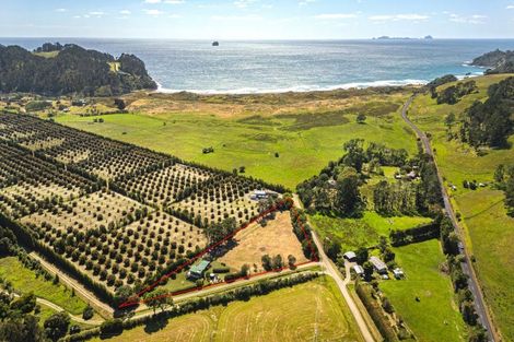 Photo of property in 33 Orua Lane, Hot Water Beach, Whitianga, 3591