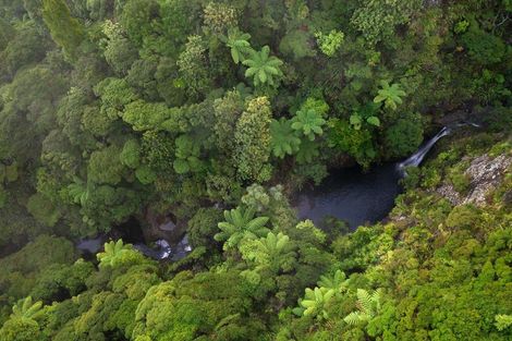 Photo of property in 122 Lone Kauri Road, Karekare, New Lynn, 0772
