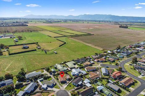 Photo of property in 13 Titoki Street, Matamata, 3400