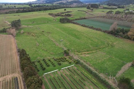 Photo of property in 459 Muhunoa Road East, Muhunoa East, Levin, 5570