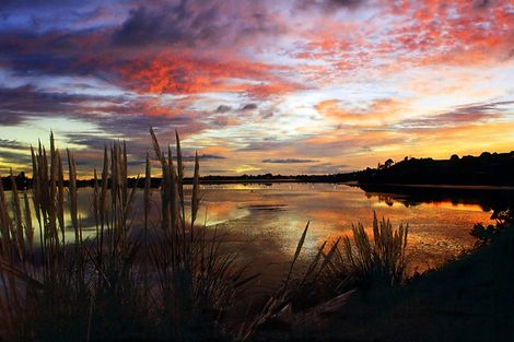 Photo of property in 118 College Place, Poike, Tauranga, 3112