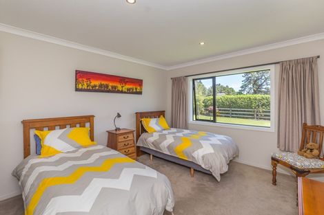 Photo of property in 19 Denton Road, Levin, 5571