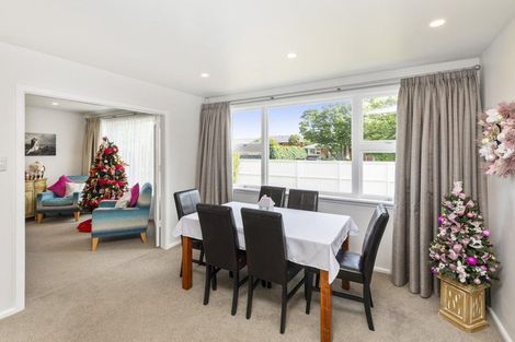 Photo of property in 17 Newbridge Place, Ilam, Christchurch, 8041