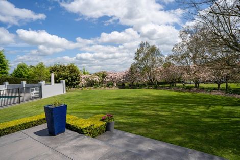 Photo of property in 80 Maungakawa Road, Cambridge, 3496