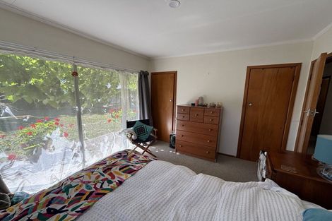 Photo of property in 149 Limbrick Street, Terrace End, Palmerston North, 4410