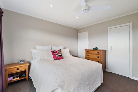 Photo of property in 238 Opawa Road, Hillsborough, Christchurch, 8022