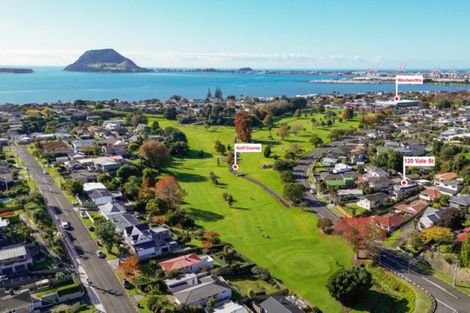 Photo of property in 120 Vale Street, Otumoetai, Tauranga, 3110