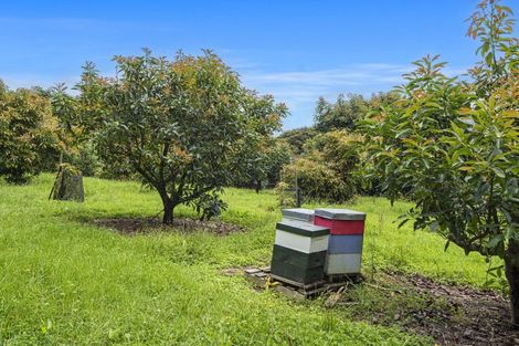 Photo of property in 161 Newton Road, Maungatapere, Whangarei, 0170