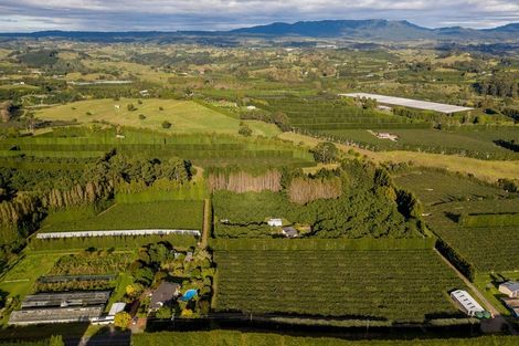 Photo of property in 39 Prole Road, Omokoroa, Tauranga, 3172