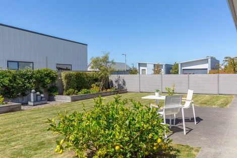 Photo of property in 13 Plains Avenue, Masterton, 5810