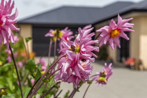 Photo of property in 16 Broomleigh Drive, Rolleston, 7615