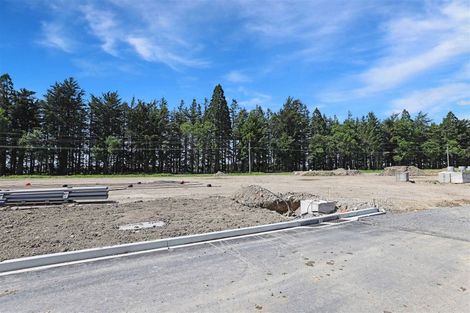 Photo of property in 35 Holmes Road, Methven, 7730