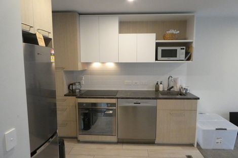 Photo of property in Vsp South, 304/168 Victoria Street, Te Aro, Wellington, 6011