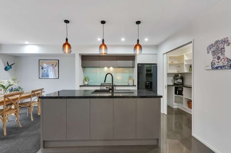 Photo of property in 28 Matanui Street, Lincoln, 7608