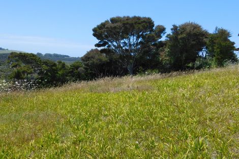 Photo of property in 14 Waterview Place, Haruru, 0204