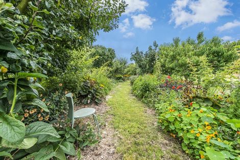 Photo of property in 62 High Street, Southbridge, 7602