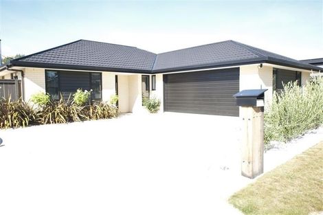 Photo of property in 239 Taylor Pass Road, Witherlea, Blenheim, 7201