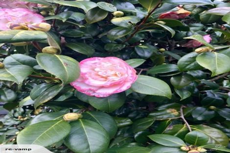 Photo of property in 131 Olliviers Road, Phillipstown, Christchurch, 8011