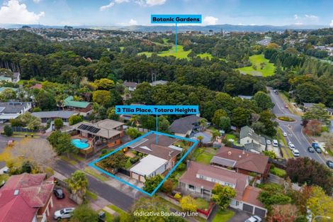 Photo of property in 3 Tilia Place, Totara Heights, Auckland, 2105