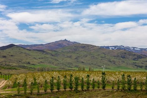 Photo of property in 39 Kordia Way, Waikerikeri, Alexandra, 9391