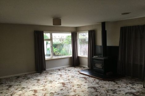 Photo of property in 5 Mcsaveneys Road, Marshland, Christchurch, 8051