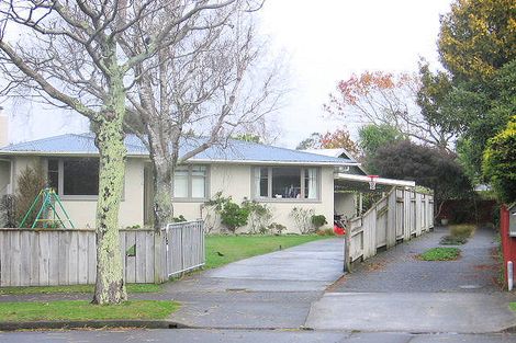 Photo of property in 28 Snowdon Avenue, Terrace End, Palmerston North, 4410