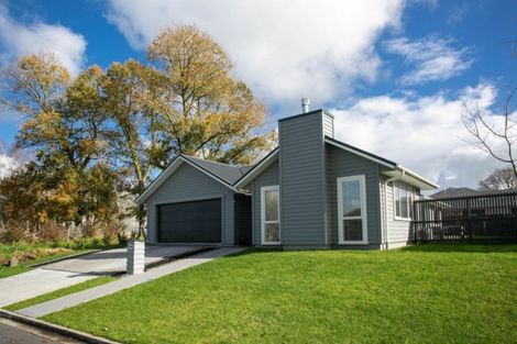 Photo of property in 8 Richards Street, Cambridge, 3434