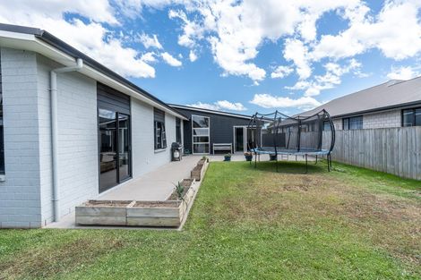 Photo of property in 224 Cumberland Drive, Flagstaff, Hamilton, 3210