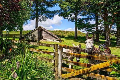 Photo of property in 615 Masterton Castlepoint Road, Te Ore Ore, Masterton, 5886